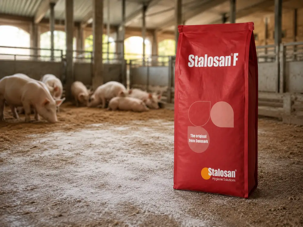 A Stalosan F bag standing on the floor of a pig barn, with weaner pigs bedded down behind it.